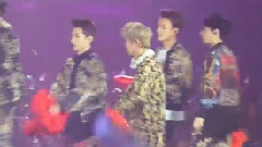 EXO,EXO-M - GEE