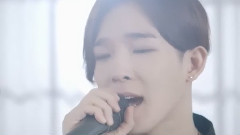 Winner - Color Ring