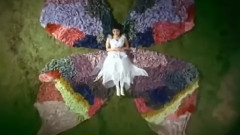 TAKE - 蝴蝶坟墓