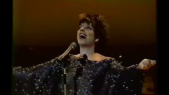 Liza Minnelli - I Happen To Like New York