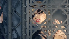 Fashion Show - Dior Fall 2014 - 5 Couleurs collection
