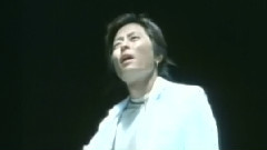 王杰 - 从来没爱过