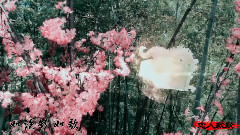 胡彦斌 - 恋人歌歌