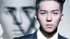 Winner - 2014 S-S Japan Collection Trailer