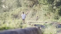 土耳其群星 - Aşk Dilimi