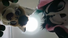 模仿翻唱 - Like A VINE...Fail (Bonny, Toffee)