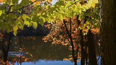 Autumn Sounds