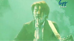 华语群星 - 数十亿只蝇
