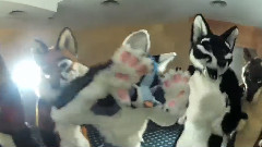 模仿翻唱 - EZwolf's - Eurofurence