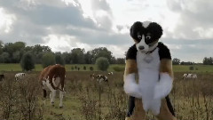 模仿翻唱 - EZwolf's Furry Gangnam Style