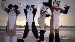 模仿翻唱 - 5 Fursuiters, 2 Dogs