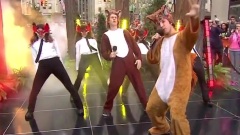 Ylvis - What Does The Fox Say