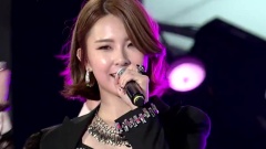 Nine Muses - 开场 & Wild