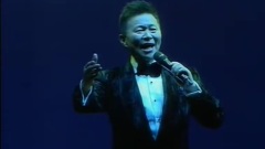 王宏伟 - 西部放歌