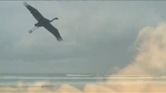 Andre Rieu - I Love You