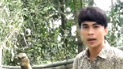 亚洲群星 - Mấy Nhịp Cầu Tre