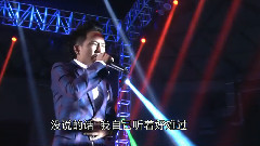 欢子 - 没说的话