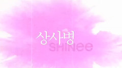 SHINee - 相思病 Lyric Video