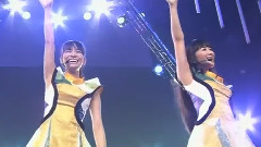 Perfume - MY COLOR