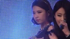 Nine Muses - Wild