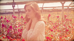 SOPHIA - Flores