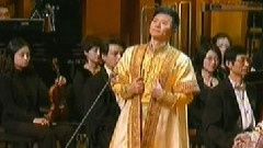 王宏伟 - 2011回归音乐会