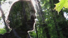 Tony Dekker - Prayer Of The Woods