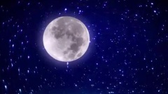 Chris Spheeris - Walk With Me