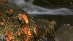 Chris Spheeris - Many Heavens