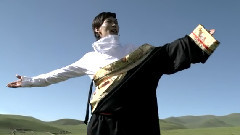 群星 - 赛尔钦梅朵