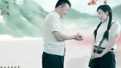 韩岚 - 做牛做马