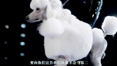 2NE1 - 我最红