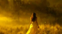 Chris Spheeris,音乐短片 - Lovers And Friends