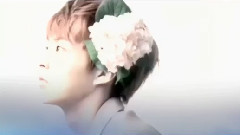 EXO,EXO-M,EXO-K - 亚洲巡回演唱会后援