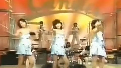 Candies - 暑中お見舞い申し上げます