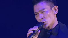 刘德华 - 似水流年