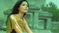 王菲 - 香奈儿