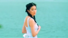 陈瑞 - 新女人花