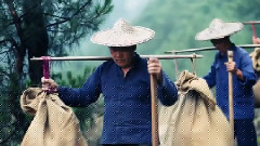 基地小虎 - 壶镇