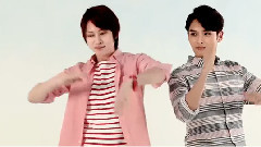 Super Junior - SPAO CF - PERFECT SHIRTS