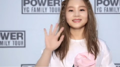 李夏怡 - YG FAMILY CONCERT 2014 