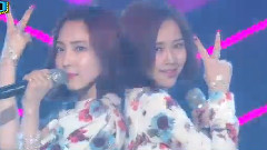 WINGS - Hair Short