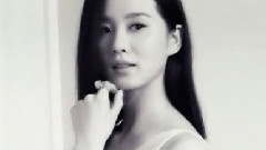 刘诗诗 - Meteor Shower