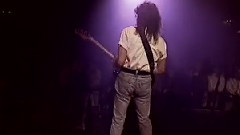 欧美群星 - Laurie Wisefield
