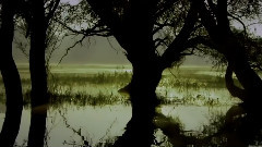 音乐短片,Hayley Westenra - Dark Waltz