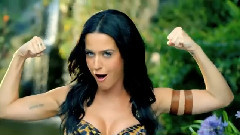 Katy Perry - Roar