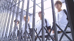 NEWS - MR.WHITE