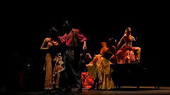 舞蹈视频 - Carmen Flamenco Part 3