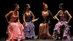舞蹈视频 - Carmen Flamenco Part 1