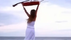 Violin De Becho